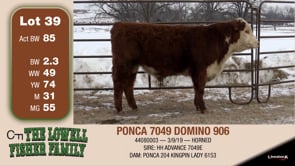 Lot #39 - PONCA 7049 DOMINO 906