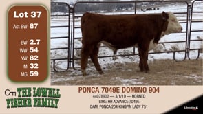 Lot #37 - PONCA 7049E DOMINO 904