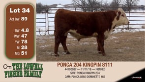 Lot #34 - PONCA 204 KINGPIN 8111
