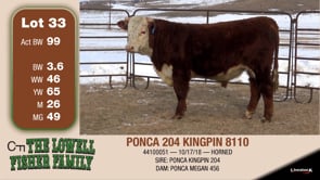 Lot #33 - PONCA 204 KINGPIN 8110