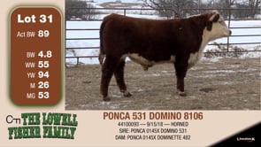 Lot #31 - PONCA 531 DOMINO 8106