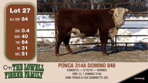 Lot #27 - PONCA 314A DOMINO 848