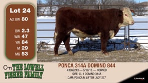 Lot #24 - PONCA 314A DOMINO 844