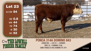 Lot #23 - PONCA 314A DOMINO 843
