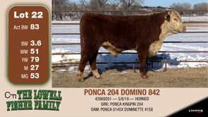 Lot #22 - PONCA 204 DOMINO 842