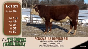 Lot #21 - PONCA 314A DOMINO 841