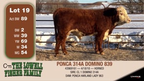 Lot #19 - PONCA 314A DOMINO 839