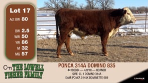 Lot #17 - PONCA 314A DOMINO 835