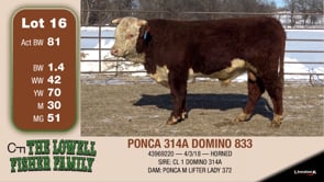 Lot #16 - PONCA 314A DOMINO 833