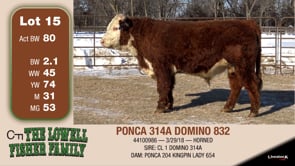Lot #15 - PONCA 314A DOMINO 832