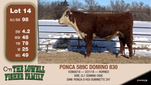 Lot #14 - PONCA 589C DOMINO 830