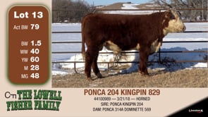 Lot #13 - PONCA 204 KINGPIN 829