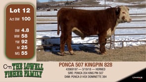 Lot #12 - PONCA 507 KINGPIN 828