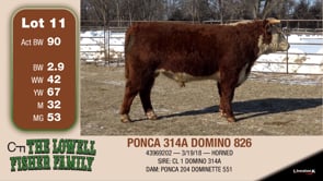 Lot #11 - PONCA 314A DOMINO 826