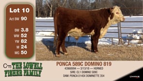 Lot #10 - PONCA 589C DOMINO 819