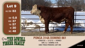 Lot #9 - PONCA 314A DOMINO 861