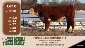 Lot #8 - PONCA 314A DOMINO 811