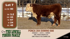 Lot #7 - PONCA 204 DOMINO 808