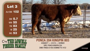 Lot #3 - PONCA 204 KINGPIN 803