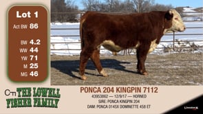 Lot #1 - PONCA 204 KINGPIN 7112