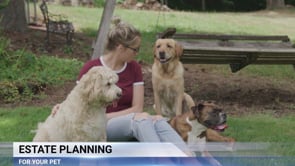 Estate Planning For Your Pet