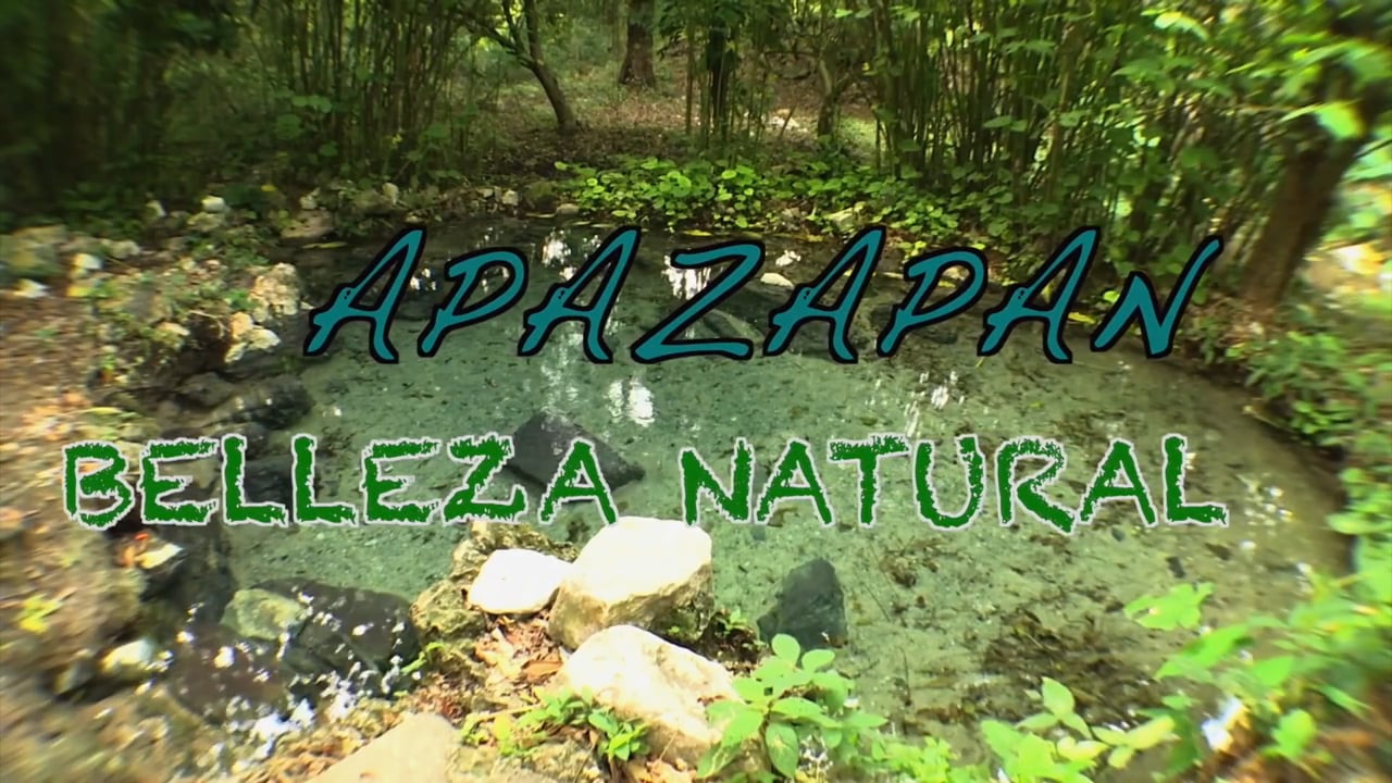 Apazapan Belleza Natural