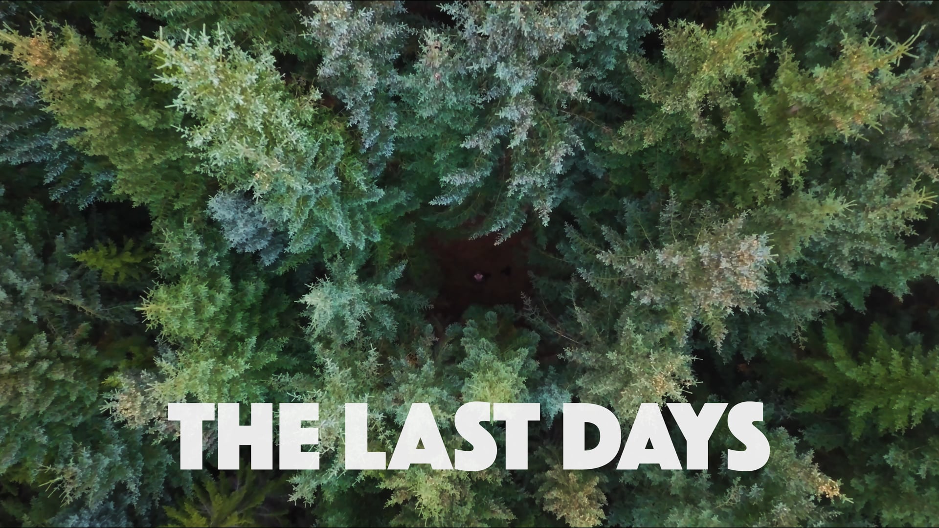 Last_Days_Trailer