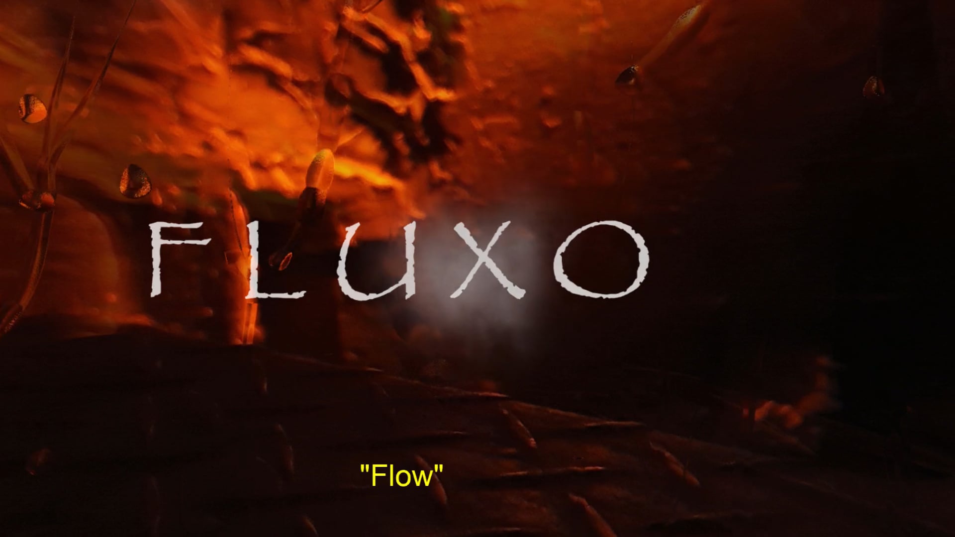 Fluxo - curta metragem