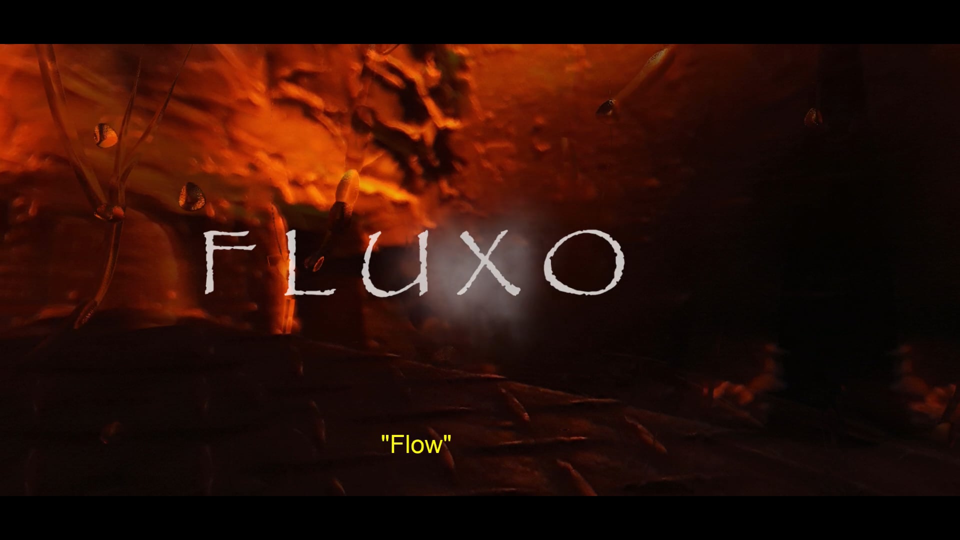 Fluxo - curta metragem