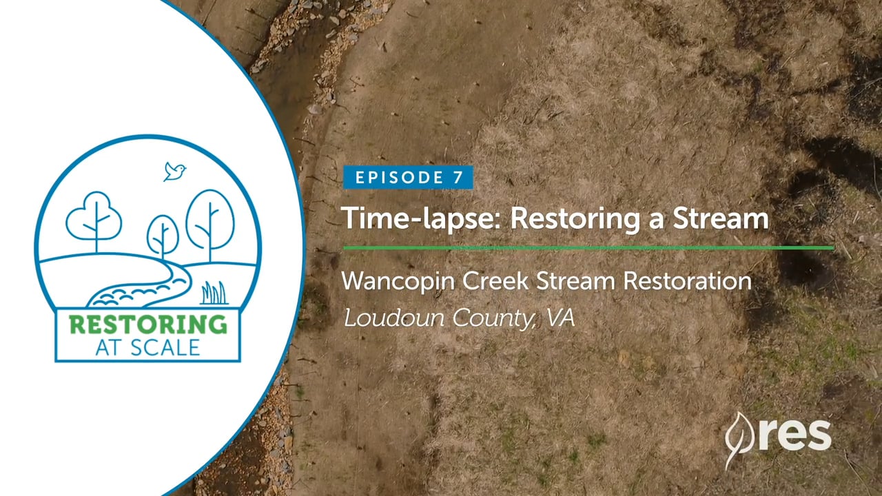 Restoring at Scale: Episode 7 - Time-lapse-Restoring a Stream