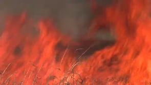 Waco Wetlands Prescribed Burn