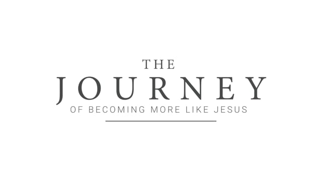 video image