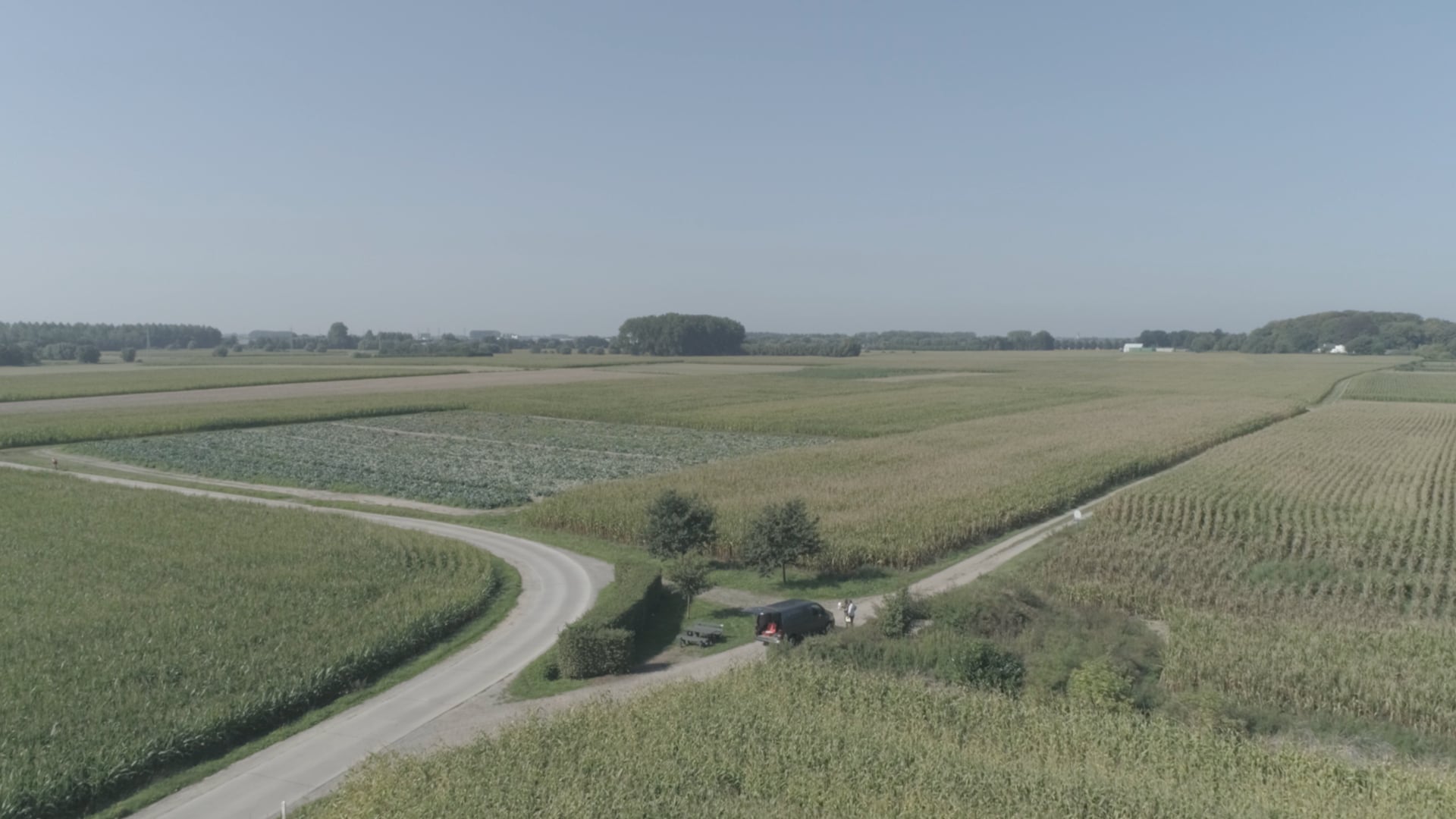 Iedereen Bornem | Wintam