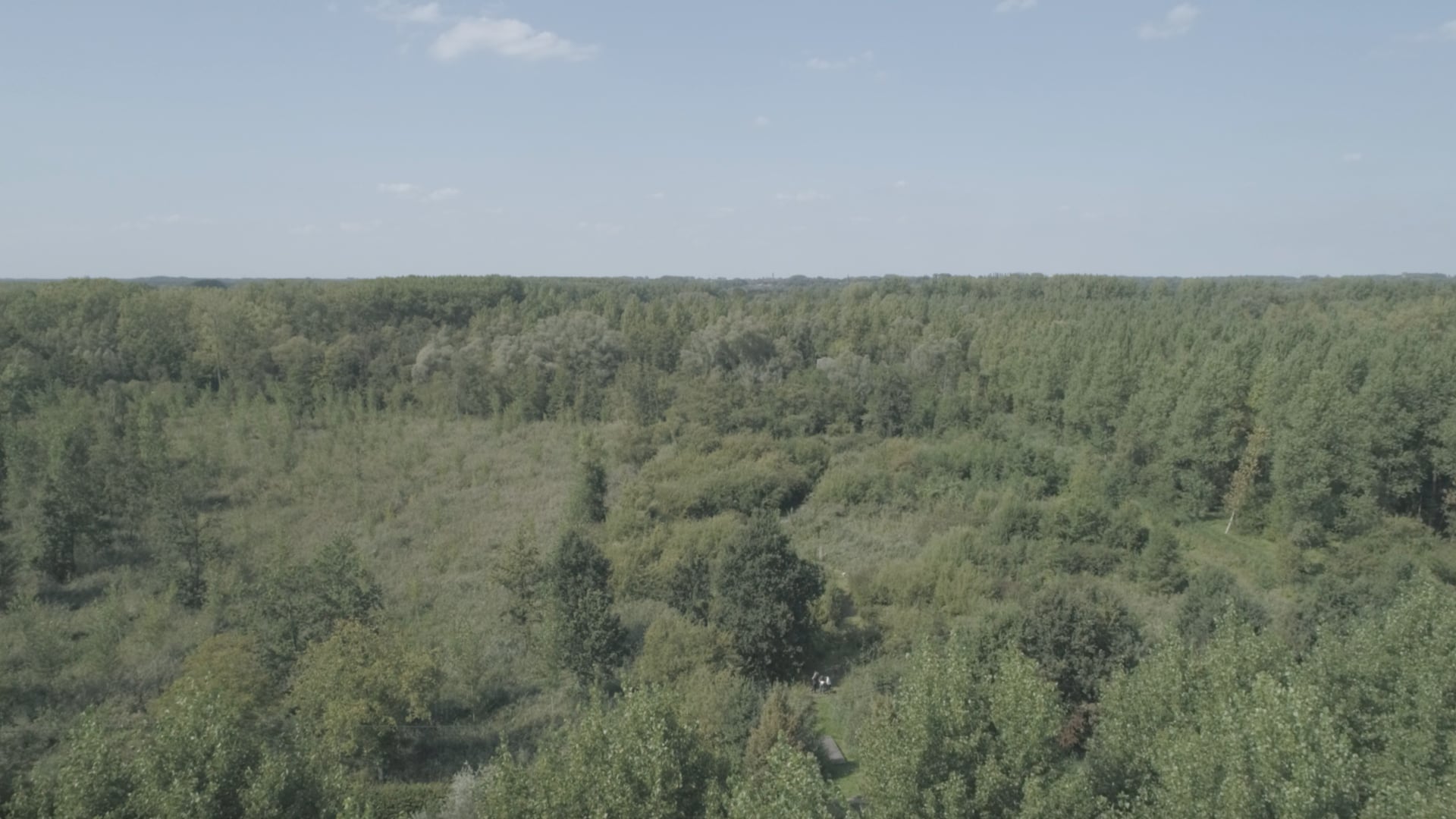 Iedereen Bornem | Weert