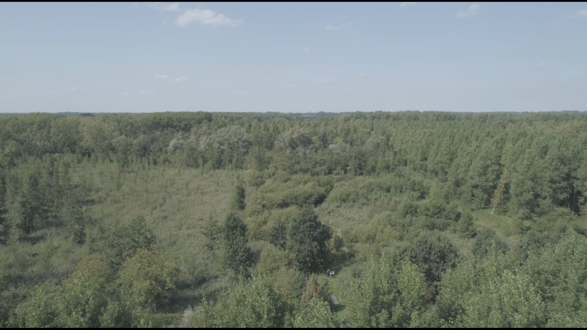 Iedereen Bornem | Weert