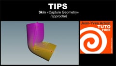 01 SKIN avec HOUDINI