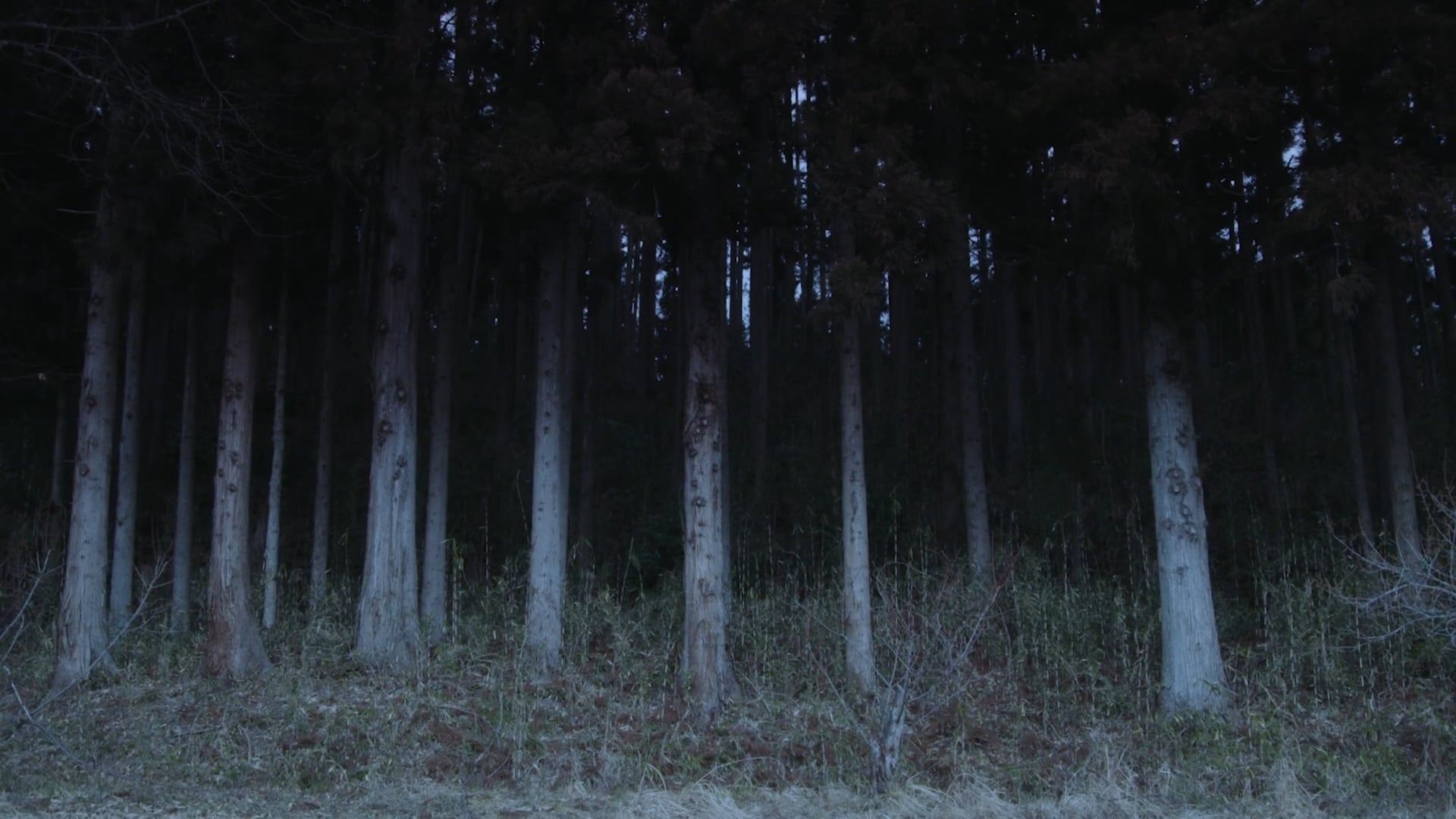 Jingamori Trailer