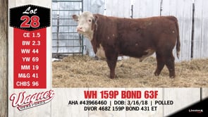 Lot #28 - WH 159P BOND 63F
