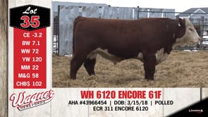 Lot #35 - WH 6120 ENCORE 61F