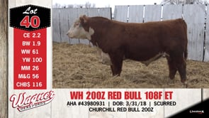 Lot #40 - WH 200Z RED BULL 108F ET