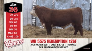 Lot #36 - WH 5575 REDEMPTION 126F