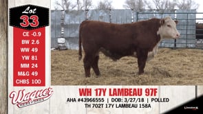 Lot #33 - WH 17Y LAMBEAU 97F