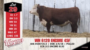 Lot #29 - WH 6120 ENCORE 45F