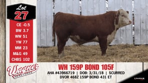 Lot #27 - WH 159P BOND 105F