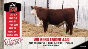 Lot #20 - WH 6964