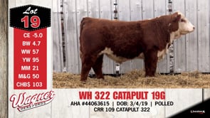 Lot #19 - WH 322 CATAPULT 19G