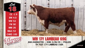 Lot #18 - WH 17Y LAMBEAU 69G