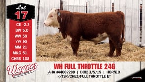 Lot #17 - WH FULL THROTTLE 24G