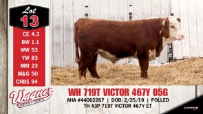 Lot #13 - WH 719T VICTOR 467Y 05G