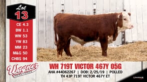 Lot #13 - WH 719T VICTOR 467Y 05G
